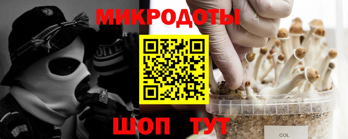 Корсаков  Галлюциногенные грибы MAGIC MUSHROOMS  Вход с VPN 
